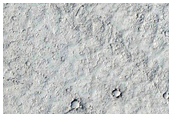 Elysium Planitia Lava
