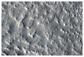 Northern Plains
