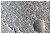 Protonilus Mensae
