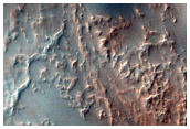 Dunes on Floor of Newton Crater
