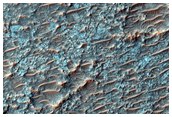 High Thermal Inertia Crater Floor
