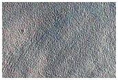 Protonilus Mensae

