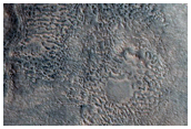 Chaos in Acidalia Planitia
