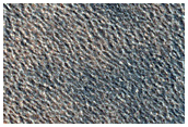 Northern Plains Sample
