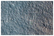Tempe Terra Features
