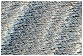 Ridges Near Arsia Mons
