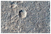 Candidate Landing Site for 2020 Mission Near Hypanis Valles
