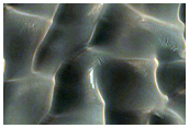 North Polar Dunes
