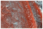 North Polar Layered Deposits
