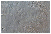 Two Units with Lobate Margins on Floor of Crater North of Dittaino Valles
