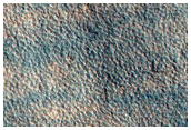 Northern Plains Sample
