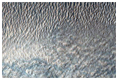 Terrain Sample
