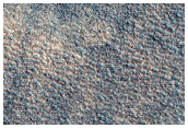 Northern Terrain Sample
