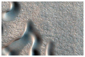 Northern Plains Terrain Sample
