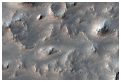 Terrain Sample
