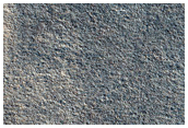 Northern Terrain Sample
