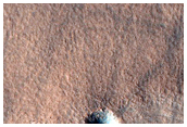 Terrain Sample
