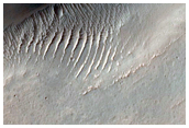 Terrain Sample
