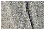 Fractures in Utopia Planitia
