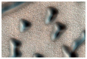 Terrain Sample
