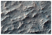 Terrain Sample
