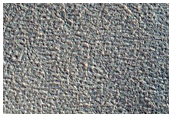 Northern Plains Sample
