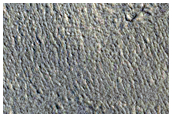 Tempe Terra
