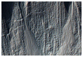 Gully Monitoring
