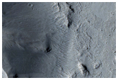Basin with Lava Fill in Southern Elysium Planitia
