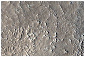Nilosyrtis Mensae
