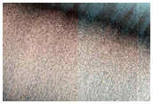North Polar Trough
