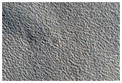 Terrain Sample
