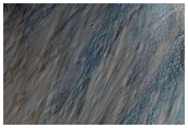 Contact in Southern Low Latitudes
