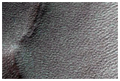 Gully Monitoring

