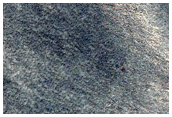 Terrain Sample

