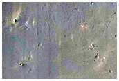 Daedalia Planum Sample

