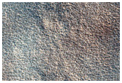 Terrain Sample
