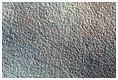 Terrain Sample
