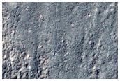 Monitor Gullies for Changes
