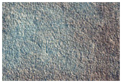 Northern Terrain Sample
