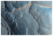 Gully Monitoring
