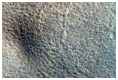 Terrain Sample
