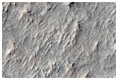 Terrain Sample
