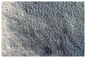 Terrain Sample
