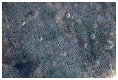 Daedalia Planum
