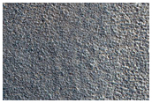 Northern Plains Terrain

