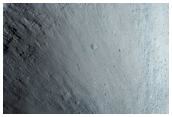 Terrain Sample
