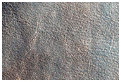 Northern Terrain Sample
