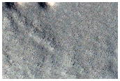 Northern Terrain Sample
