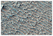 ster om Hale-kratern finns ett hav av vackra sanddyner